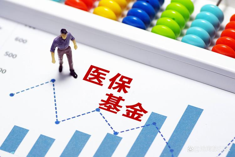 医保缴费记录